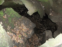 otta delle Femmine27052012 080